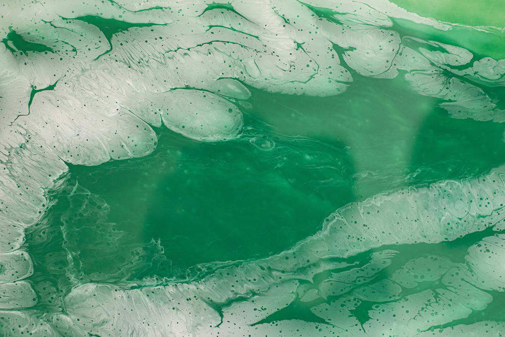 Transition vers une économie Circulaire