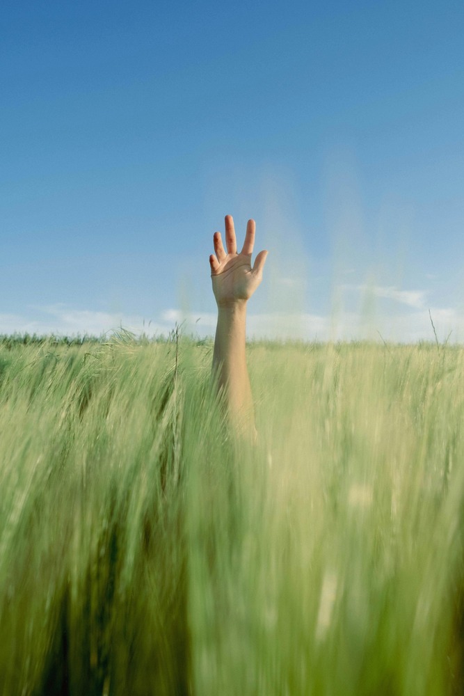 Transition agroécologique