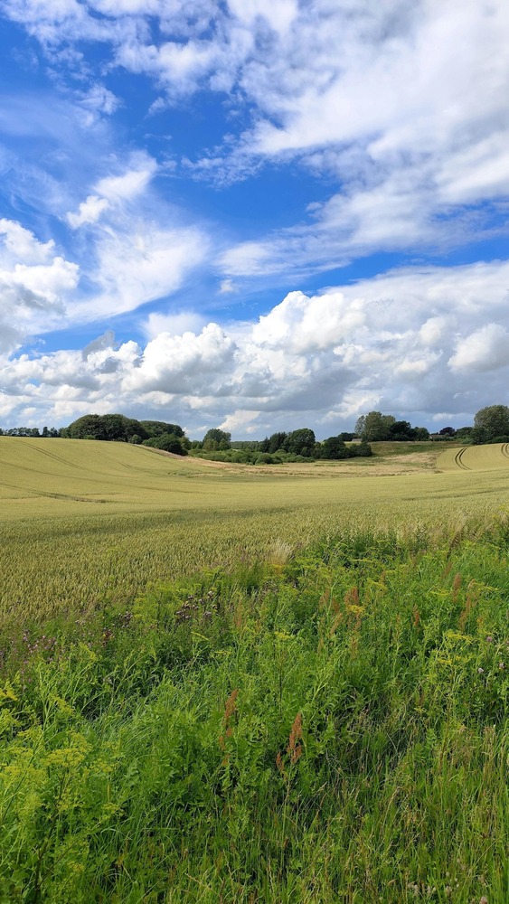 Transition et Sécurité Alimentaire