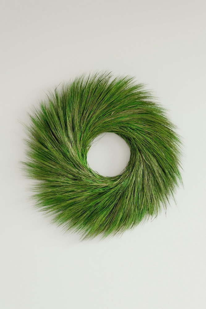 Modèles Économiques et Chaîne de valeur Durable