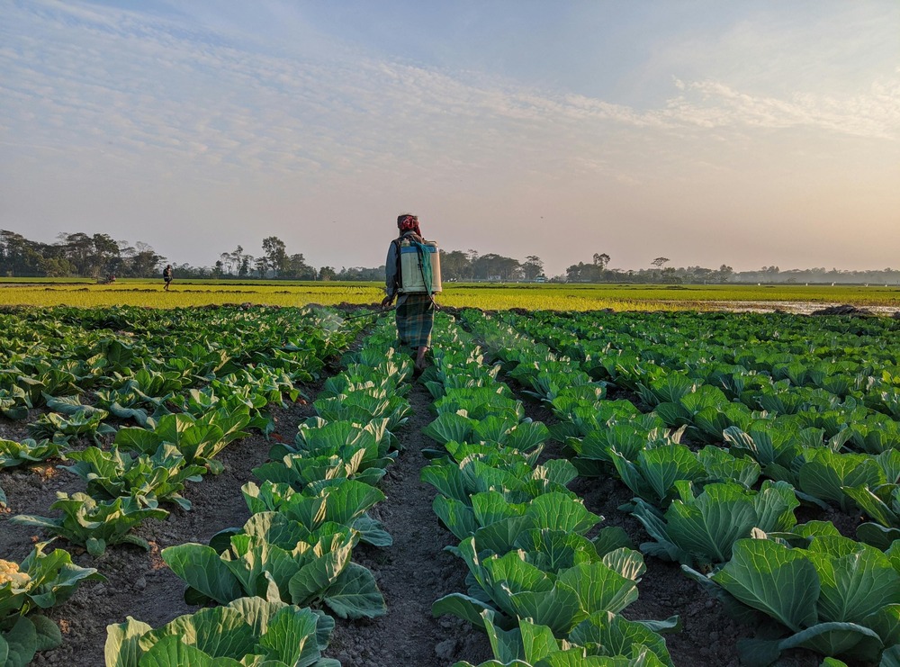 Conservation de Biodiversité et Services Écosystémiques