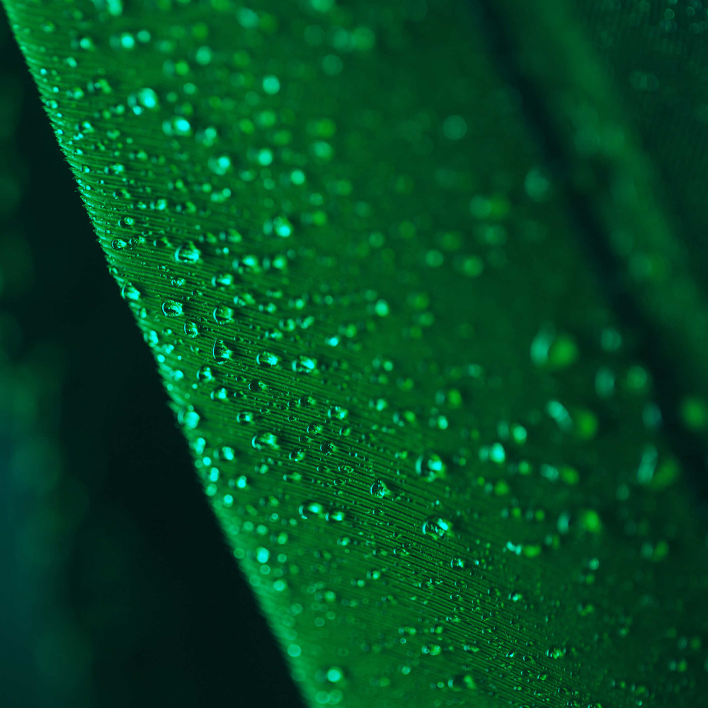 Rôle de la Recherche et de l'innovation